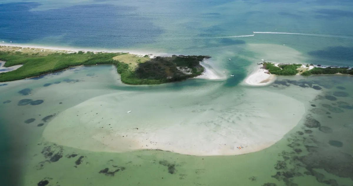 Shell Key Preserve Clear Kayak Tour — Tierra Verde, FL