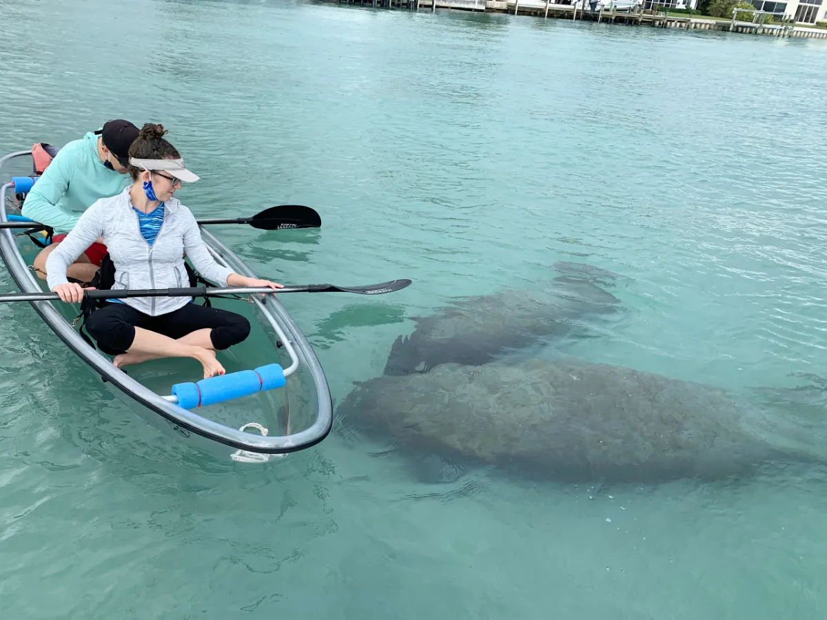 Jupiter Clear Kayak Private Tour | KayakCircle