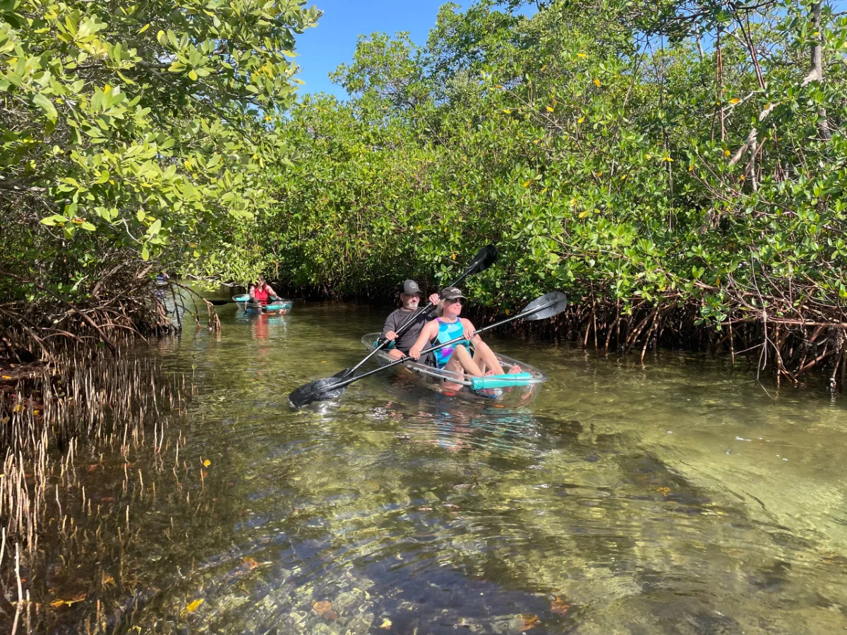 Jupiter Clear Kayak Private Tour | KayakCircle